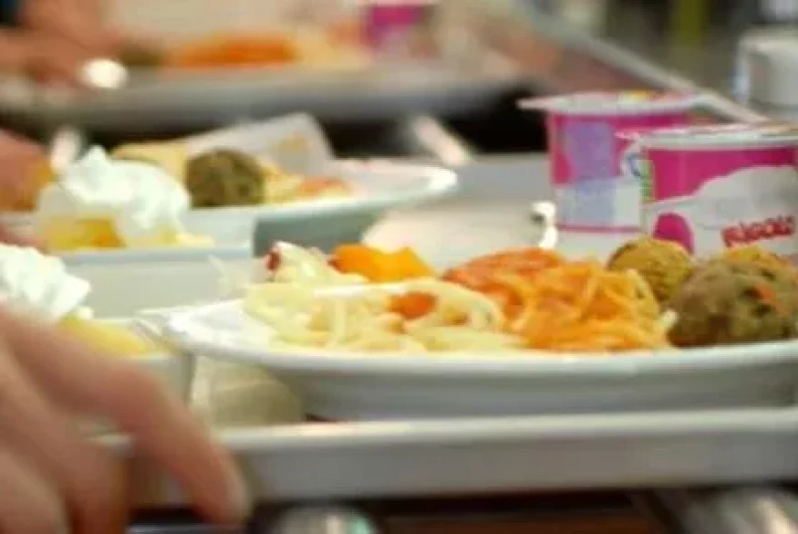 Pus de 100 enfants sont tombés malades après avoir consommé un repas dans une école publique dont un plat dans lequel avait été retrouvé un serpent mort